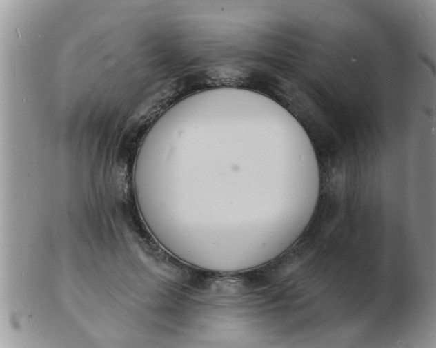 X0000103300599200809122031