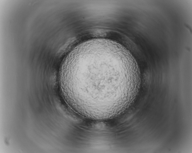 X0000103300600200809122031