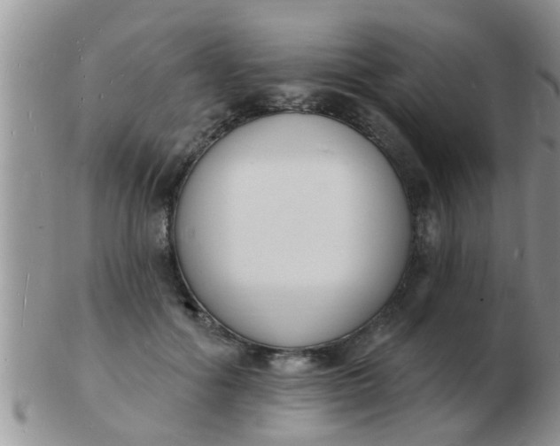 X0000103300602200809122031