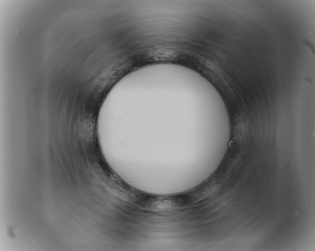 X0000103300604200809122031