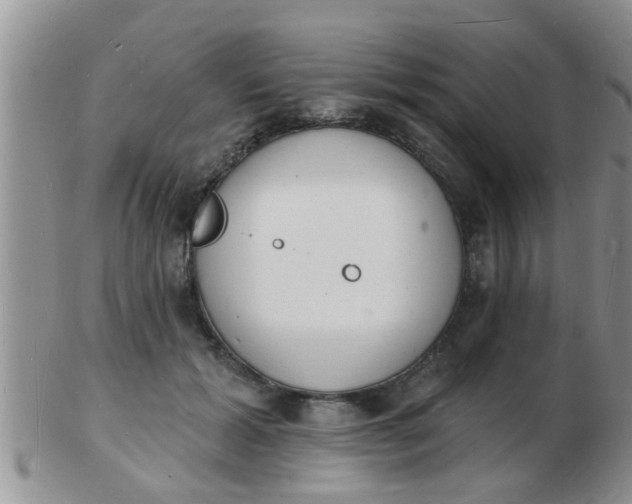 X0000103300605200809122031