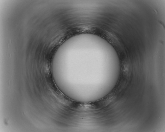 X0000103300607200809122031