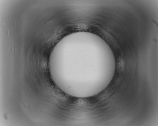 X0000103300608200809122031