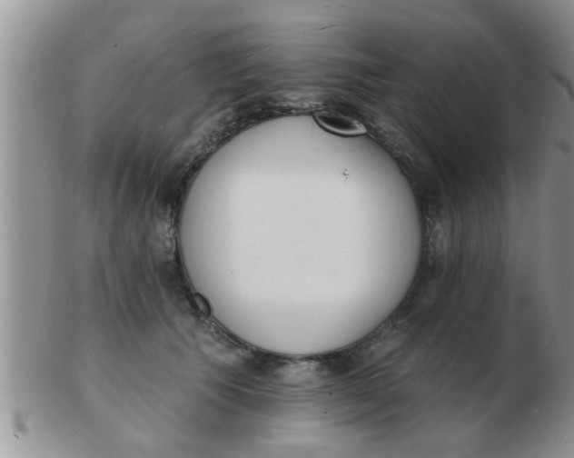 X0000103300609200809122031