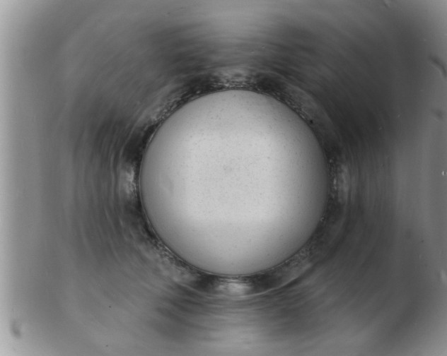 X0000103300610200809122031