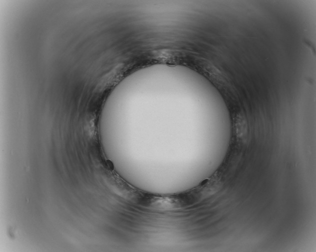 X0000103300611200809122031