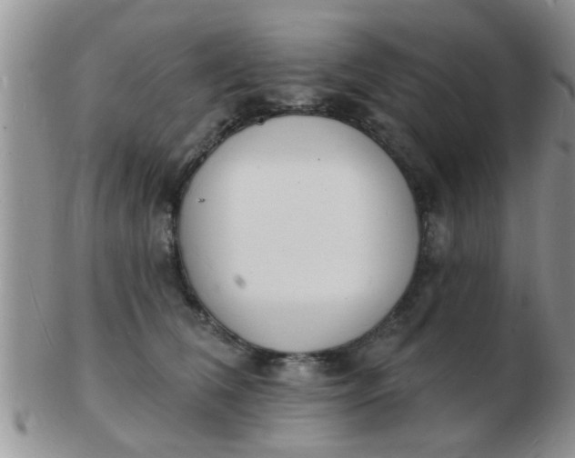 X0000103300612200809122031