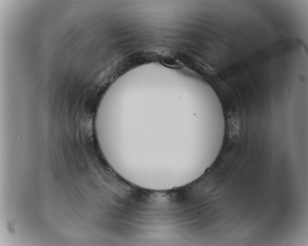 X0000103300613200809122031