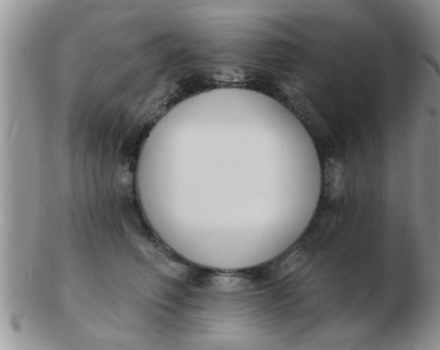 X0000103300614200809122031