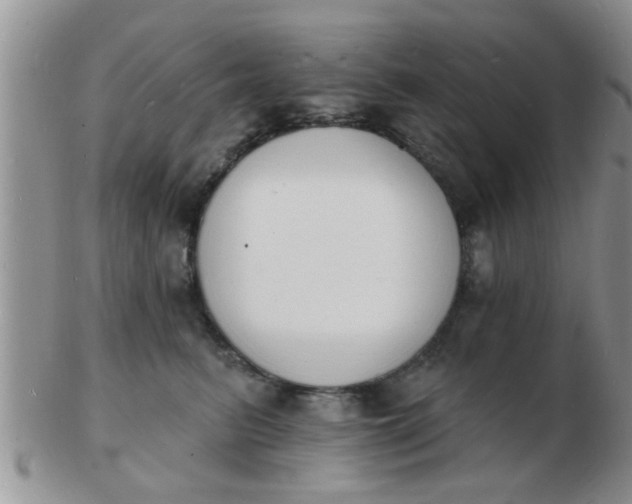 X0000103300615200809122031