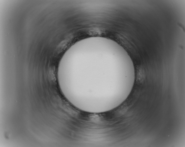 X0000103300616200809122031