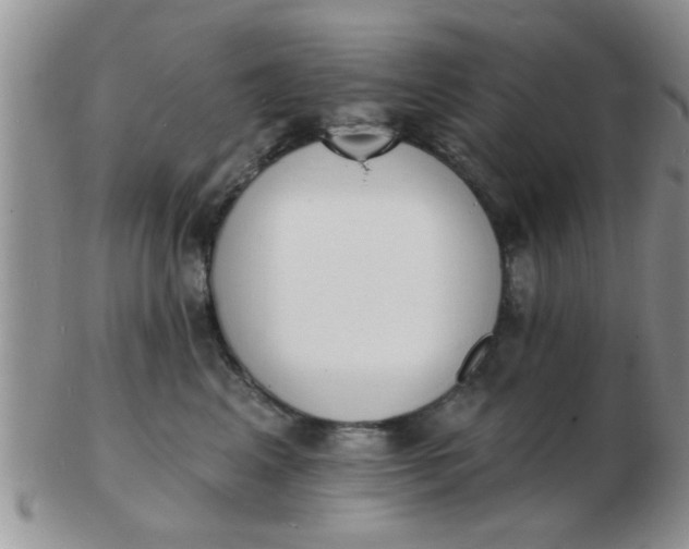 X0000103300617200809122031