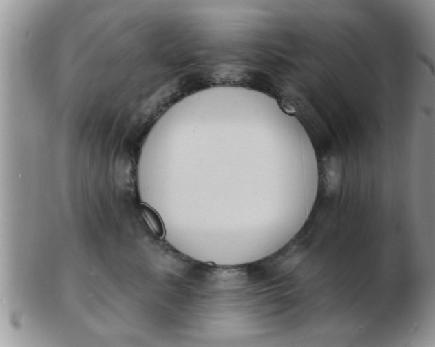 X0000103300619200809122031