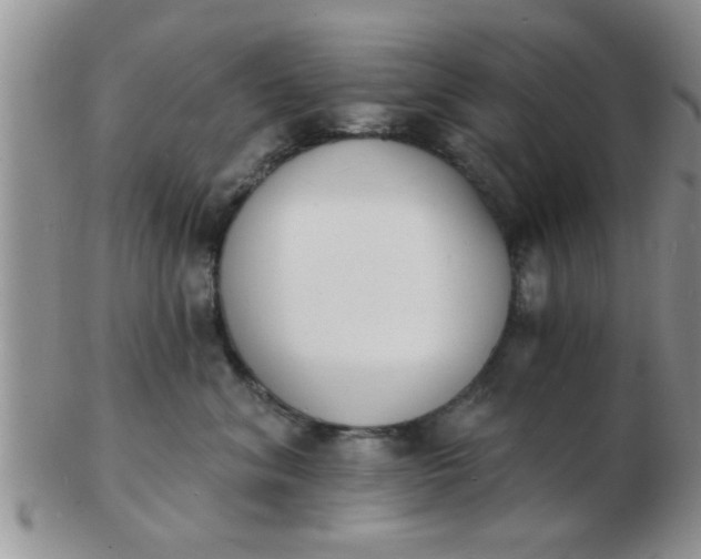 X0000103300620200809122031