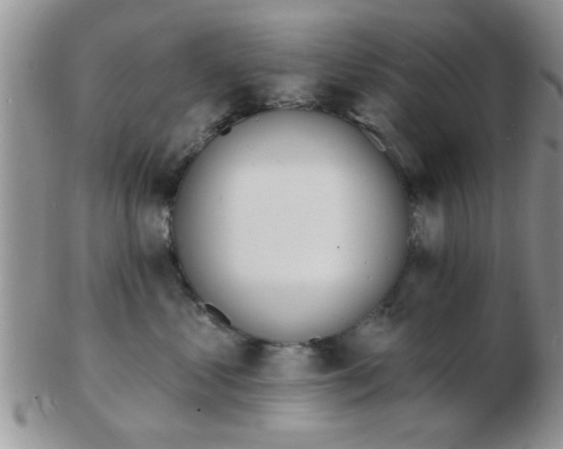 X0000103300621200809122031