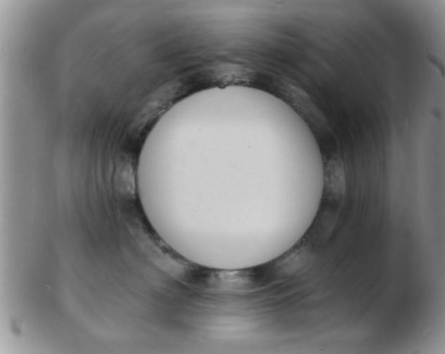 X0000103300622200809122031