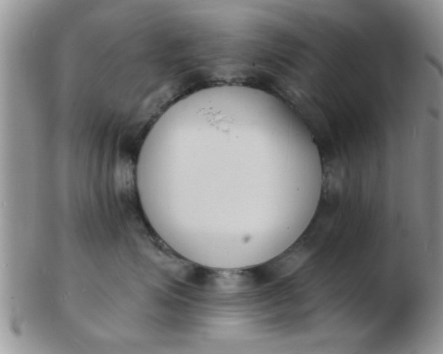 X0000103300623200809122031