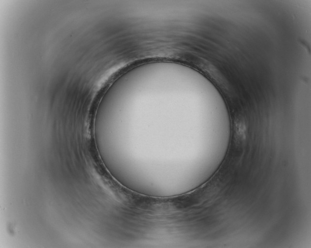 X0000103300628200809122030