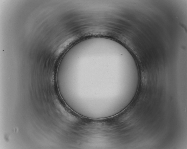 X0000103300629200809122030