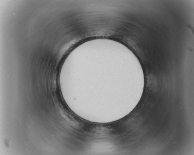 X0000103300632200809122030