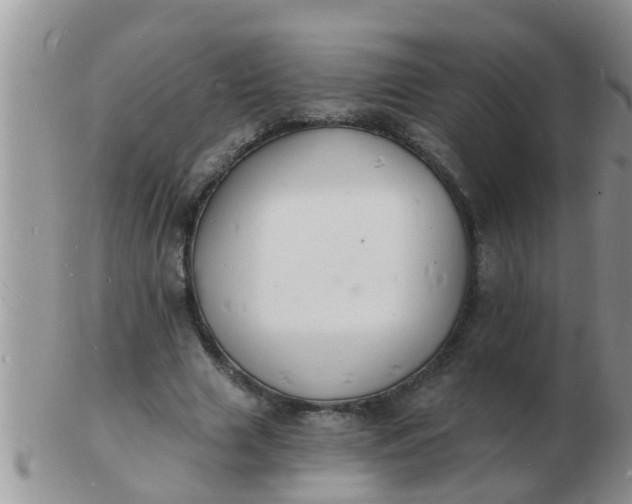 X0000103300633200809122030