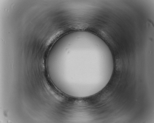 X0000103300634200809122030