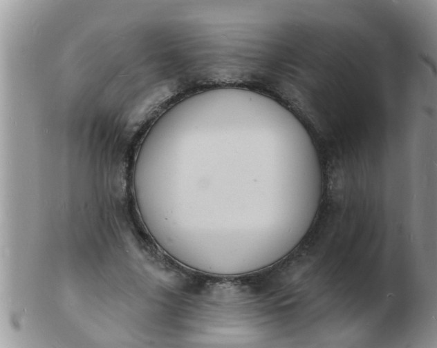 X0000103300635200809122030