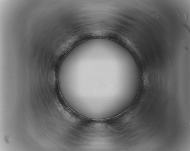 X0000103300637200809122030