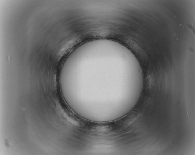 X0000103300638200809122030