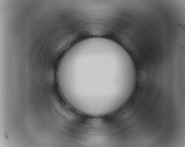 X0000103300639200809122030