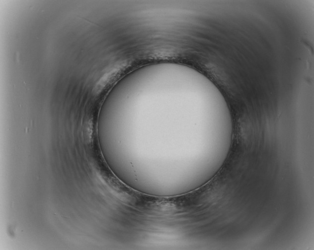 X0000103300640200809122030