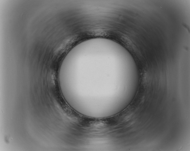 X0000103300643200809122030