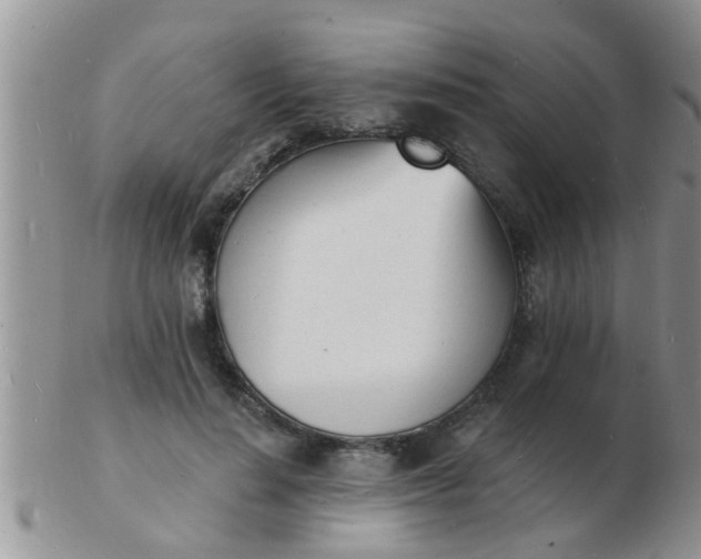 X0000103300644200809122030