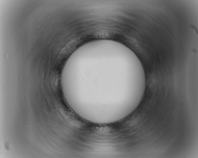 X0000103300645200809122030