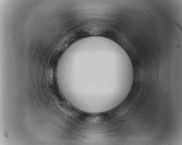 X0000103300646200809122030