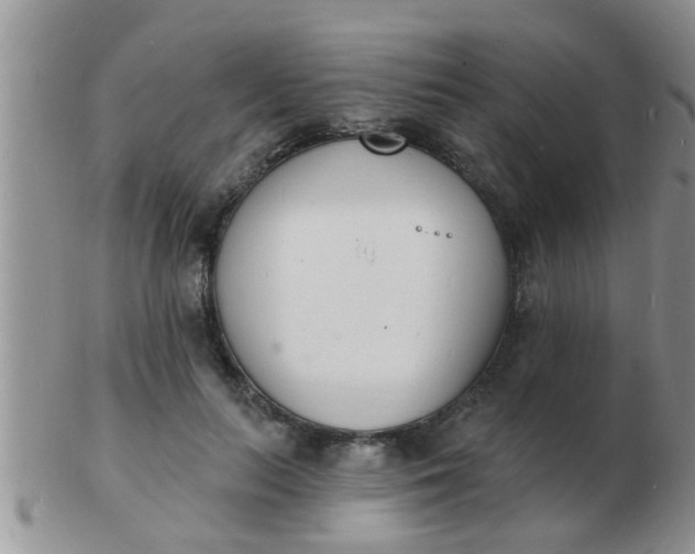 X0000103300647200809122030