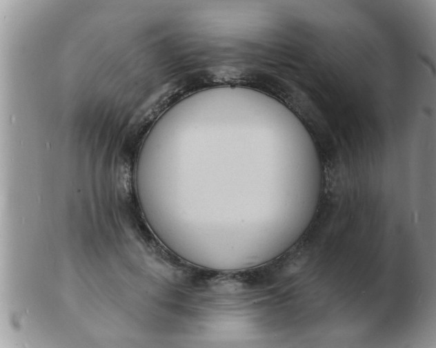 X0000103300648200809122030