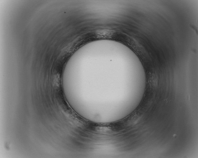 X0000103300649200809122030