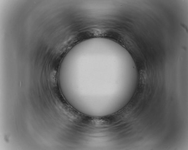 X0000103300650200809122030