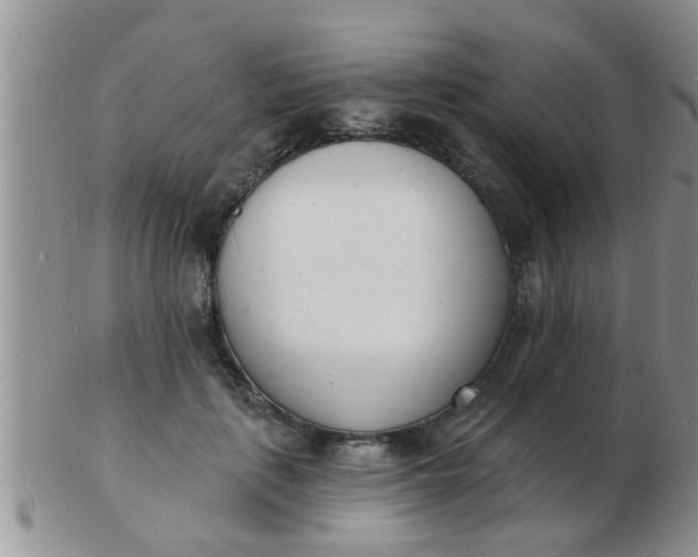 X0000103300651200809122030