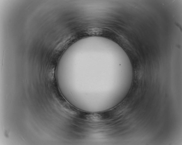 X0000103300652200809122030