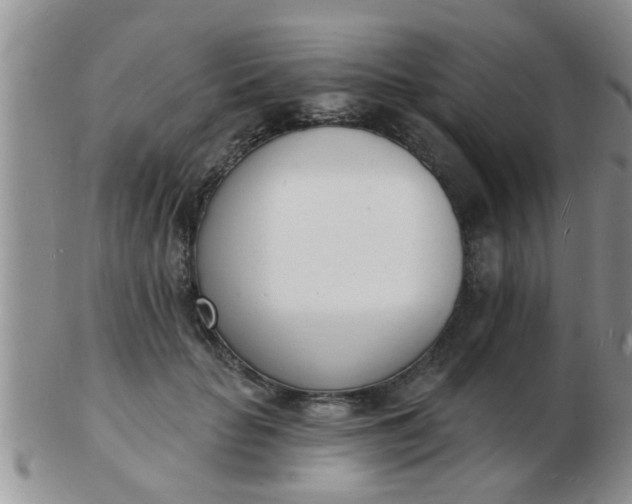 X0000103300653200809122031