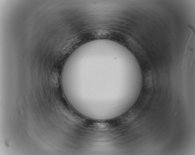 X0000103300654200809122031