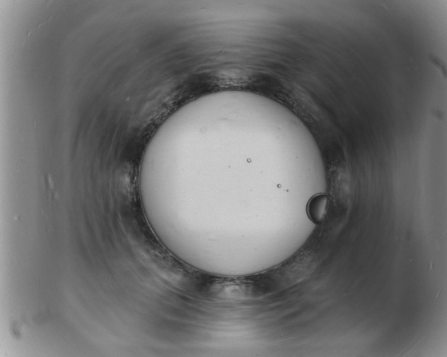 X0000103300655200809122031