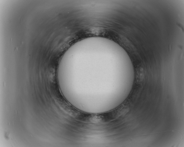 X0000103300656200809122031