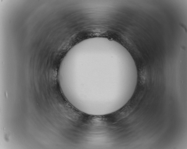 X0000103300657200809122031