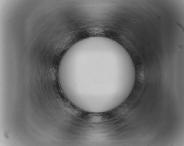 X0000103300658200809122031