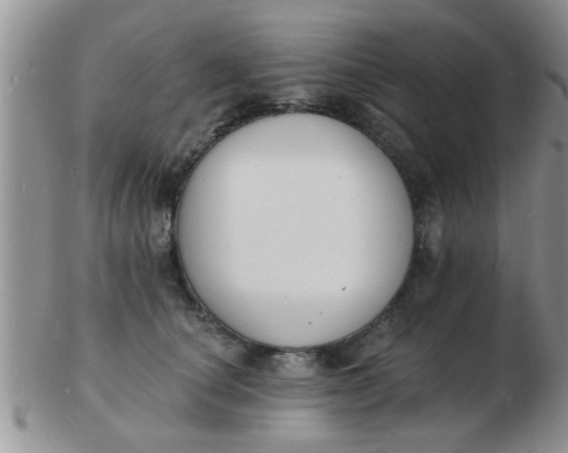 X0000103300660200809122031