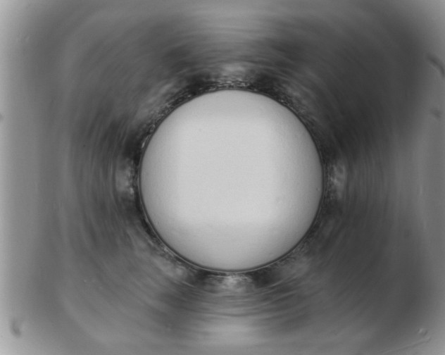 X0000103300663200809122031