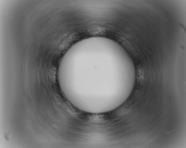 X0000103300664200809122031